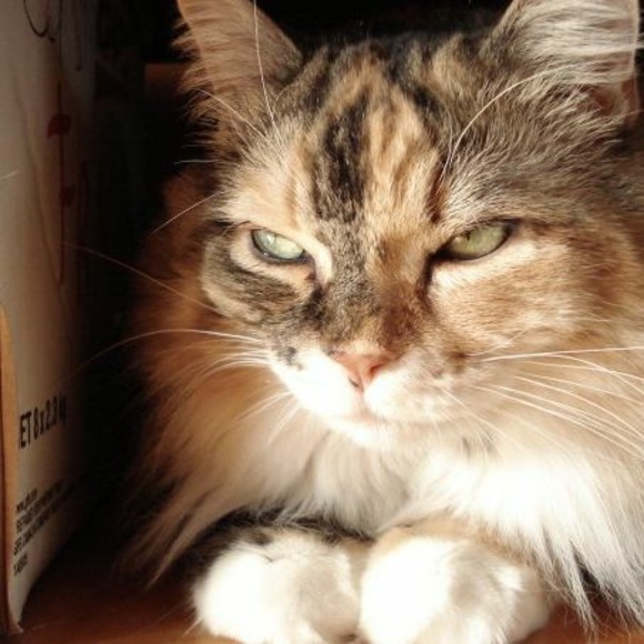 Meet your Posher, Andrée - Picture 1 of 1